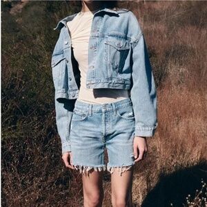 NWT Agolde Parker Long Distressed Button Fly Denim Jean Shorts in Swapmeet 29
